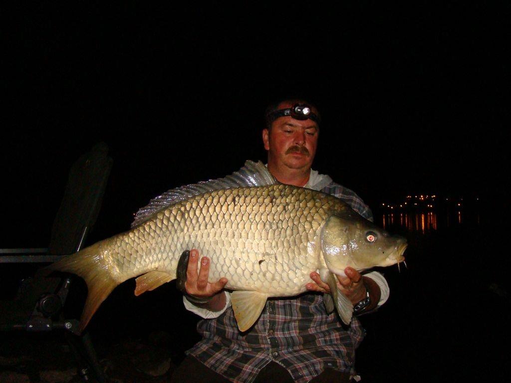 Cipibaits - 00106720.jpg